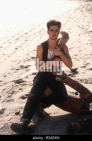 MALIBU, CA - 27. Januar: (exklusiv) Schauspieler Damon Pampolina stellt an den exklusiven Fotoshooting am 27. Januar 1993 in Malibu, Kalifornien. Foto von Barry King/Alamy Stock Foto Stockfoto