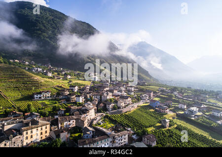 Kleines Dorf in Valtellina, Häuser und Weinberge, Blick von der Drohne. Italienische Alpen - Tirano Stockfoto