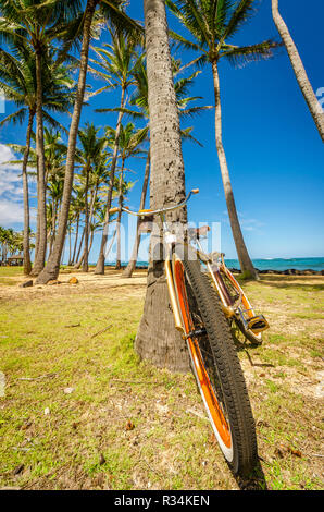 Fahrrad an einem tropischen Strand lehnte sich gegen eine Palme Stockfoto
