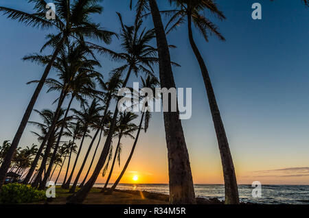 Palmen am Strand entlang in Kapaa, Kauai, Hawaii, USA bei Sonnenaufgang Stockfoto