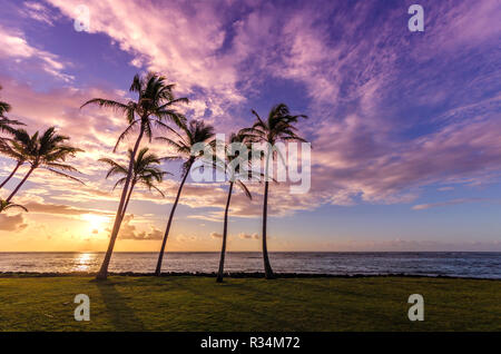 Palmen am Strand entlang in Kapaa, Kauai, Hawaii, USA bei Sonnenaufgang Stockfoto