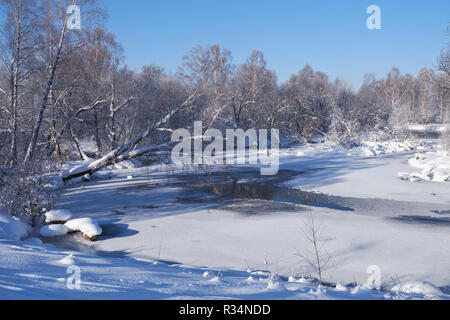 Fluss Koksha durch Bäume unter Raureif und Schnee in der Altairegion im Winter umgeben, Sibirien, Russland Stockfoto