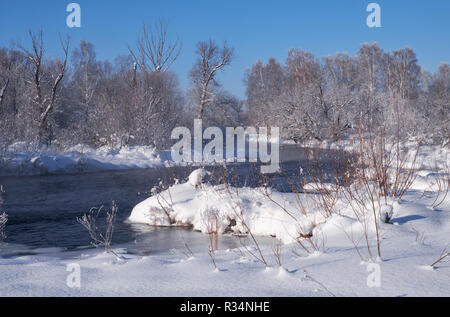 Fluss Koksha durch Bäume unter Raureif und Schnee in der Altairegion im Winter umgeben, Sibirien, Russland Stockfoto