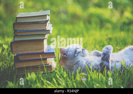 Fanny Katze auf dem Rücken liegend auf dem Gras in der Nähe von Stapel alter Bücher. Cat das Leben genießen Stockfoto