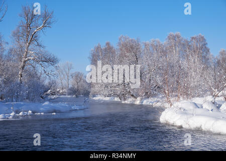 Fluss Koksha durch Bäume unter Raureif und Schnee in der Altairegion im Winter umgeben, Sibirien, Russland Stockfoto