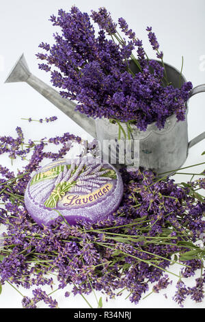 Gießkanne, Kerze und Lavendel isoliert auf weiss Stockfoto