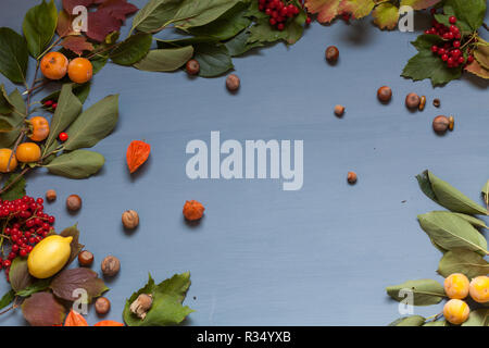 Herbst Hintergrund Gelbe und Rote Blätter von Beeren Früchte Nüsse fallen Stockfoto