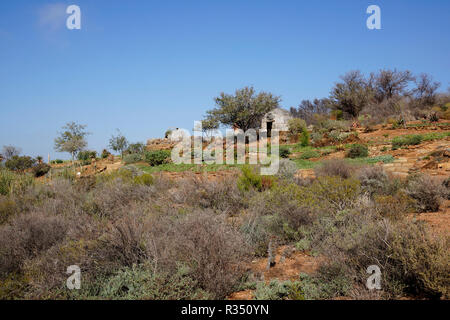 Eine typische kerm-' oder Schutz durch Buschmänner (San) in der Karoo Wüste Nationalen Botanischen Garten in Worcester gebaut, Provinz Westkap in Südafrika. Stockfoto