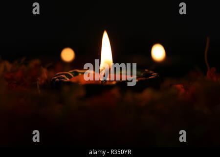 Lit diya auf Blumen für Feiern Diwali und dhanteras Stockfoto