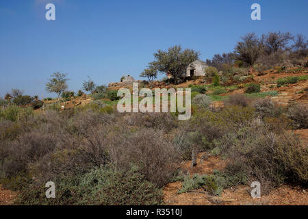 Eine typische kerm-' oder Schutz durch Buschmänner (San) in der Karoo Wüste Nationalen Botanischen Garten in Worcester gebaut, Provinz Westkap in Südafrika. Stockfoto