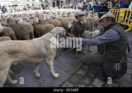 Hunderte von Schafen entlang einer Straße in der Innenstadt von Madrid, Spanien, während der Fiesta de la Transhumancia (Viehtriebweg Festival). Die jährliche Veranstaltung sieht Hunderte von Schafen led von Hirten durch die spanische Hauptstadt in einer Tradition der saisonalen Vieh Migration aus dem Mittelalter die Bedeutung der Hirten in der ländlichen Entwicklung und ihre Kultur in Spanien zu betonen. Mit: Atmosphäre Wo: Madrid, Gemeinschaft von Madrid, Spanien Wann: 21 Okt 2018 Credit: Oscar Gonzalez/WENN.com Stockfoto
