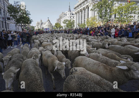 Hunderte von Schafen entlang einer Straße in der Innenstadt von Madrid, Spanien, während der Fiesta de la Transhumancia (Viehtriebweg Festival). Die jährliche Veranstaltung sieht Hunderte von Schafen led von Hirten durch die spanische Hauptstadt in einer Tradition der saisonalen Vieh Migration aus dem Mittelalter die Bedeutung der Hirten in der ländlichen Entwicklung und ihre Kultur in Spanien zu betonen. Mit: Atmosphäre Wo: Madrid, Gemeinschaft von Madrid, Spanien Wann: 21 Okt 2018 Credit: Oscar Gonzalez/WENN.com Stockfoto