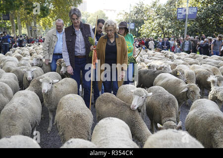Hunderte von Schafen entlang einer Straße in der Innenstadt von Madrid, Spanien, während der Fiesta de la Transhumancia (Viehtriebweg Festival). Die jährliche Veranstaltung sieht Hunderte von Schafen led von Hirten durch die spanische Hauptstadt in einer Tradition der saisonalen Vieh Migration aus dem Mittelalter die Bedeutung der Hirten in der ländlichen Entwicklung und ihre Kultur in Spanien zu betonen. Mit: Atmosphäre Wo: Madrid, Gemeinschaft von Madrid, Spanien Wann: 21 Okt 2018 Credit: Oscar Gonzalez/WENN.com Stockfoto