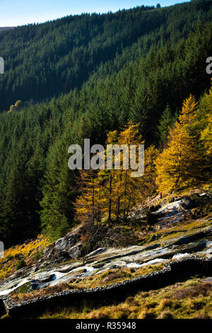 Herbst Blick auf Glenmacnass Wasserfall Stockfoto