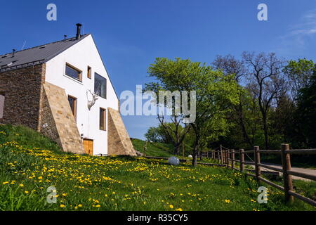 Hirschkopf Relief auf der Fassade der schönen weißen Dorf Gebäude im Sommer Natur, sonnigen Tag, Unterkunft Konzept Stockfoto
