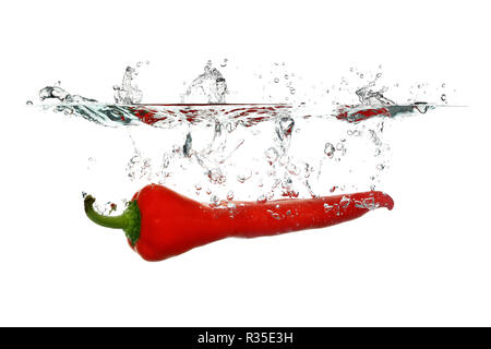 Red Pepper ging im Wasser auf weißem Hintergrund Stockfoto