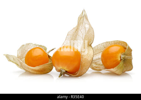 Physalis isoliert auf weißem Hintergrund Stockfoto