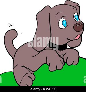 Beagle Hund auf weißem Hintergrund dargestellt. Vektor Stock Vektor