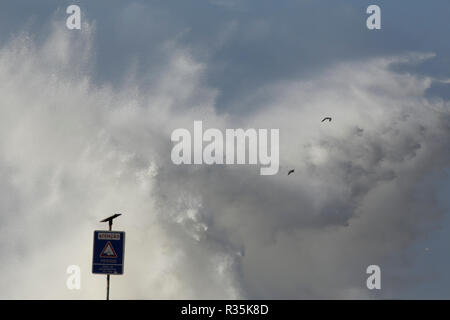 Portugiesische Küste während des Sturms seeig riesige Welle Splash. Das Warnschild sagt: Achtung, Gefahr, Meer gully Zone. Stockfoto