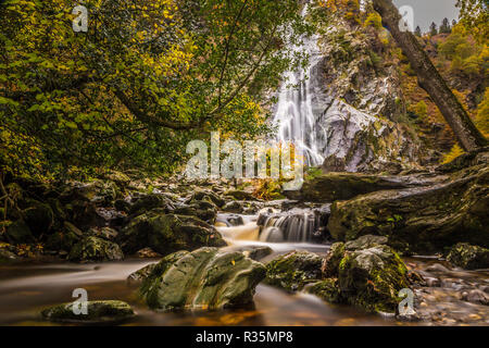 Eine atemberaubende lange Belichtung geschossen über den Fluss Dargle durch die Bäume der Powerscourt Wasserfall, Bray, Co Wicklow, Irland. Stockfoto