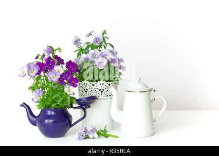 Lila, Blau und Lila Stiefmütterchen Blumen in einem schönen Topf mit zwei vintage Emaille Krüge oder Töpfe auf weißem Hintergrund, kopieren oder Text Platz Stockfoto
