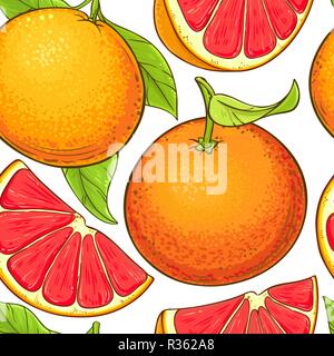 Grapefruit Obst vektor Muster auf weißem Hintergrund Stock Vektor