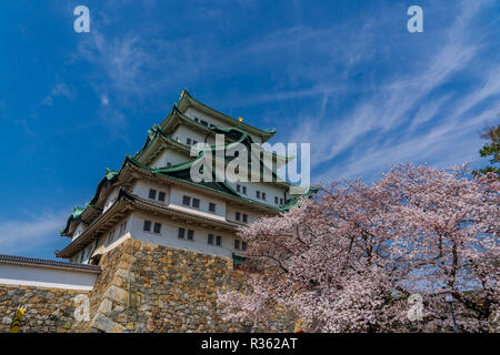 Nagoya Castle - Aichi Präfektur Stockfoto