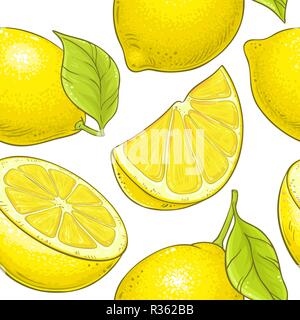 Lemon fruit vector Muster auf weißem Hintergrund Stock Vektor