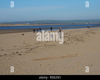 Gruppen von Hund Spaziergänger auf instow Beach North Devon, Großbritannien Stockfoto