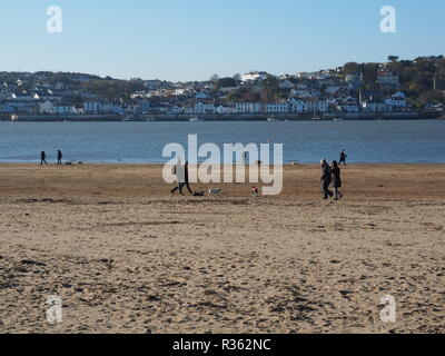 Gruppen von Hund Spaziergänger auf instow Beach North Devon, Großbritannien Stockfoto