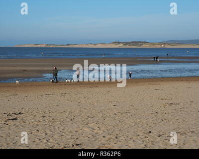 Gruppen von Hund Spaziergänger auf instow Beach North Devon, Großbritannien Stockfoto