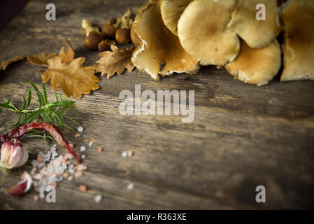 Pilze im Wald von Pappeln auf Holztisch und anderen Zutaten gesammelt Stockfoto