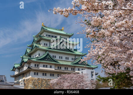 Nagoya Castle - Aichi Präfektur Stockfoto