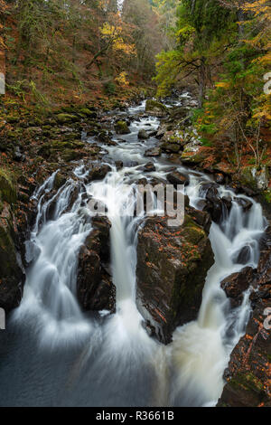 Schwarz Linn fällt auf den Fluss Braan. Die Eremitage, Perth und Kinross, Schottland Stockfoto