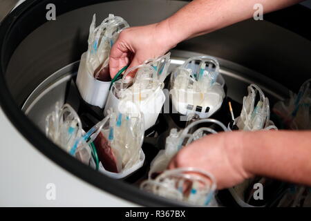 Großes Volumen Zentrifuge für das Zentrifugieren von Blutproben Stockfoto