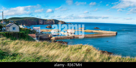 Der Hafen von St. Abbs, einem hübschen Dorf in Berwickshire in Schottland Stockfoto