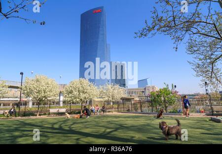 Schuylkill River Park Dog Park in Fitlers Square Nachbarschaft, im Hintergrund die Skyline von Philadelphia, Philadelphia, Pennsylvania, USA Stockfoto