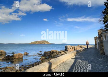Der Uferweg Park entlang der Uferpromenade, Bar Harbor, Mount Desert Island, New England, Maine, USA Stockfoto