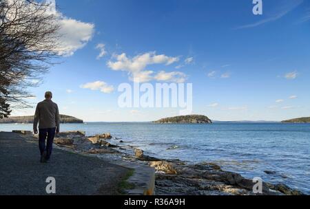 Der Uferweg Park entlang der Uferpromenade, Bar Harbor, Mount Desert Island, New England, Maine, USA Stockfoto