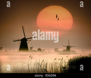 NL - Ausflüge: Windmühlen in Kinderdijk in der Nähe von Rotterdam Stockfoto