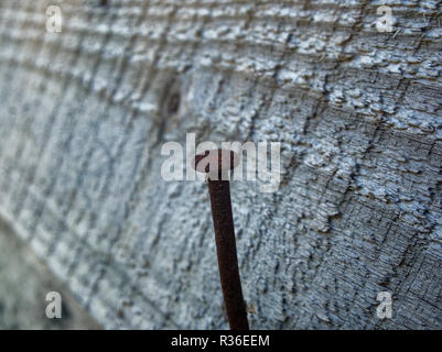 Nagel in die Wand des Hauses angetrieben, Russland Stockfoto