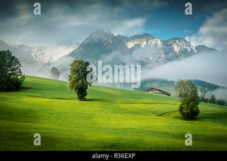 Sommer in Walchsee mit Blick auf das Kaisergebirge Tirol bei Kufstein Stockfoto