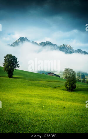 Sommer in Walchsee mit Blick auf das Kaisergebirge Tirol bei Kufstein Stockfoto