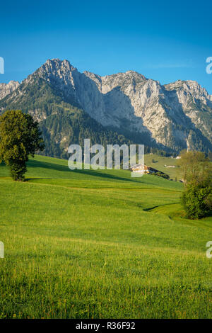 Sommer in Walchsee mit Blick auf das Kaisergebirge Tirol bei Kufstein Stockfoto