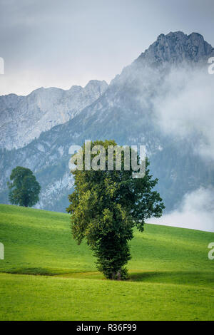 Sommer in Walchsee mit Blick auf das Kaisergebirge Tirol bei Kufstein Stockfoto