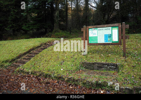 Die Schritte bis in die Galtee Holz mit Informationen zu unterzeichnen. Galtee Schloss Woods, Limerick, Irland, Stockfoto