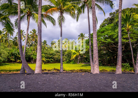 Palmen in Punaluu Black Sand Beach auf Big Island, Hawaii: Der schwarze Sand ist ein schöner Kontrast zu den üppigen grünen Vegetation. Punaluu Strand in Th Stockfoto