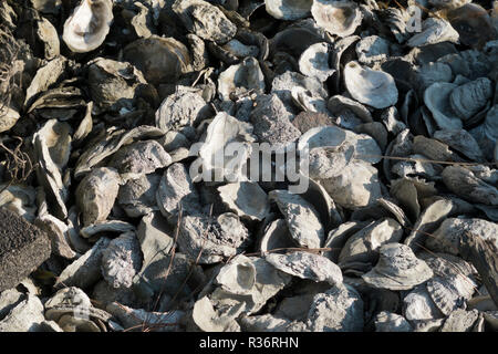 Verworfen Austernschalen auf den Liegen am Ufer des Bon Secour Bay im Süden von Alabama, USA Stockfoto