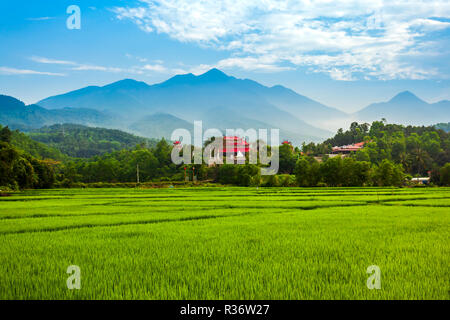 Schönheit Berglandschaft in der Nähe der Quan Hai Van Pass in Danang City in Vietnam. Stockfoto