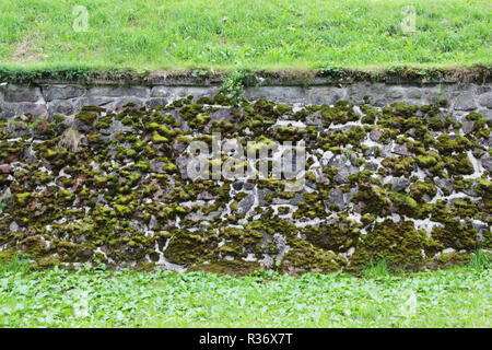 Eine Steinmauer mit künstlerischen Adern, über das Moos wächst. Stockfoto